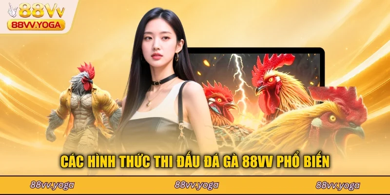 Các hình thức thi đấu đá gà 88VV phổ biến